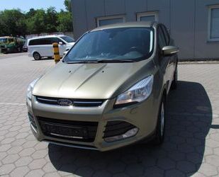 Ford Kuga Gebrauchtwagen