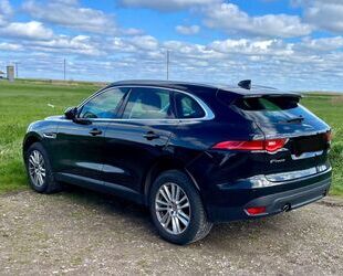 Jaguar F-Pace Gebrauchtwagen