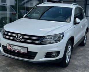 VW Tiguan Gebrauchtwagen