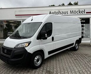 Fiat Ducato Gebrauchtwagen