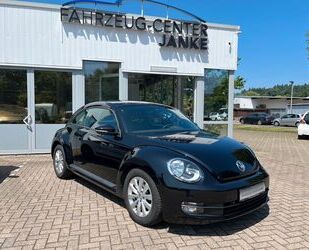 VW Beetle Gebrauchtwagen