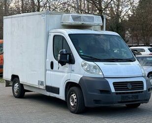 Fiat Ducato Gebrauchtwagen