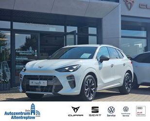 Cupra Terramar Gebrauchtwagen