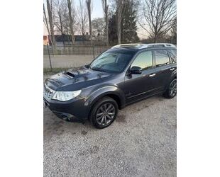Subaru Forester Gebrauchtwagen
