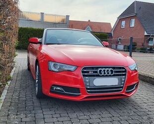 Audi S5 Gebrauchtwagen