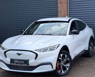 Ford Mustang Gebrauchtwagen