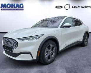 Ford Mustang Mach-E Gebrauchtwagen