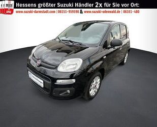 Fiat Panda Gebrauchtwagen