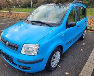 Fiat Panda Gebrauchtwagen