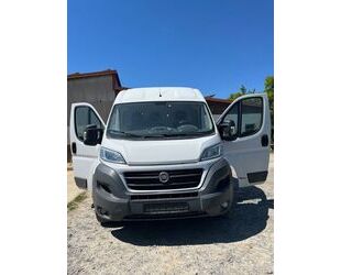 Fiat Ducato Gebrauchtwagen