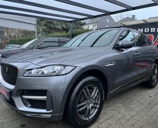 Jaguar F-Pace Gebrauchtwagen