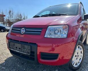 Fiat New Panda Gebrauchtwagen