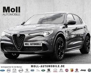 Alfa Romeo Alfa Romeo Stelvio Quadrifoglio GSD ASSISTENZ-PAKE Gebrauchtwagen