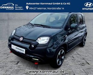 Fiat Panda Gebrauchtwagen