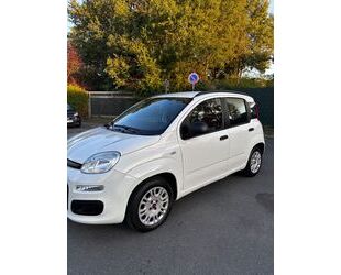 Fiat Panda Gebrauchtwagen