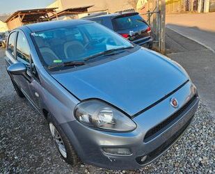 Fiat Punto Gebrauchtwagen