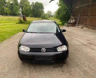 VW Golf Gebrauchtwagen