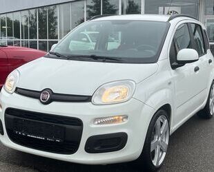 Fiat New Panda Gebrauchtwagen