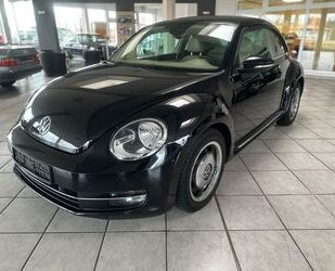 Nissan Beetle 