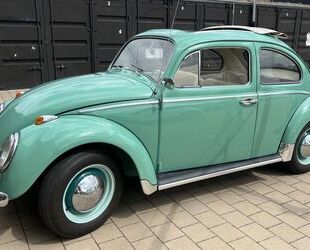 VW Käfer Gebrauchtwagen