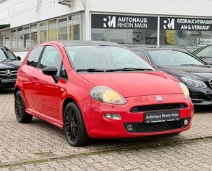 Fiat Punto Gebrauchtwagen