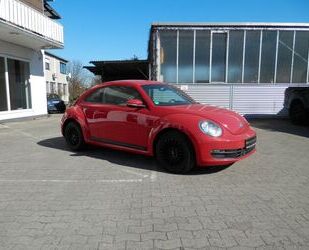 VW Beetle Gebrauchtwagen
