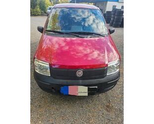 Fiat Panda Gebrauchtwagen