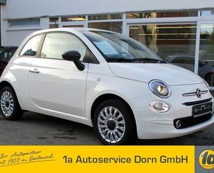 Fiat 500 Gebrauchtwagen