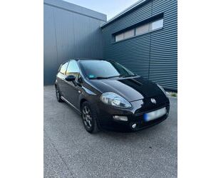 Fiat Punto Evo Gebrauchtwagen