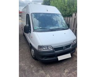 Fiat Ducato Gebrauchtwagen