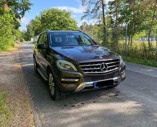 Mercedes-Benz ML 250 Gebrauchtwagen