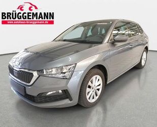 Skoda Scala Gebrauchtwagen