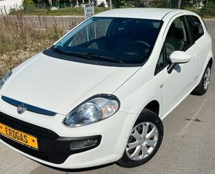 Fiat Punto Gebrauchtwagen
