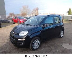 Fiat Panda Gebrauchtwagen