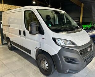 Fiat Ducato Gebrauchtwagen