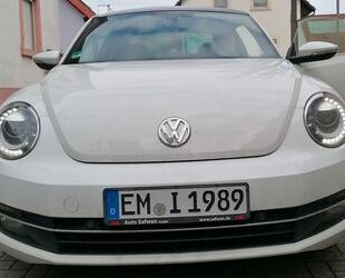 VW Beetle Gebrauchtwagen