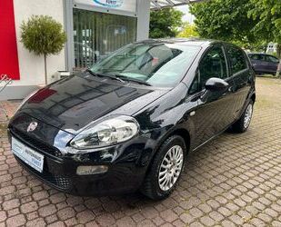 Fiat Punto Gebrauchtwagen