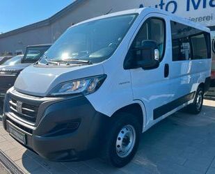 Fiat Ducato Gebrauchtwagen