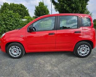 Fiat Panda Gebrauchtwagen