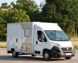 Fiat Ducato Gebrauchtwagen