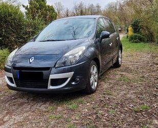 Renault Scenic Gebrauchtwagen