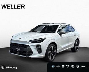 Cupra Terramar Gebrauchtwagen