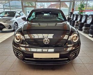 VW Beetle Gebrauchtwagen