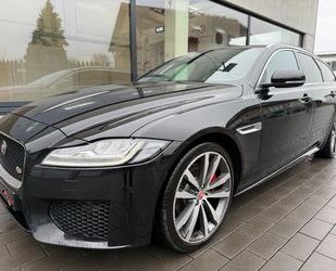 Jaguar XF Gebrauchtwagen
