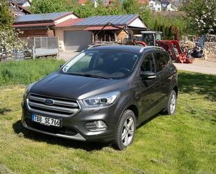 Ford Kuga Gebrauchtwagen