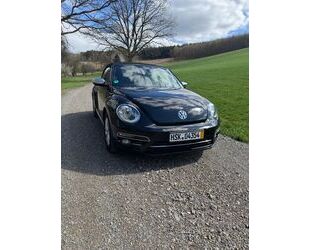 VW Beetle Gebrauchtwagen