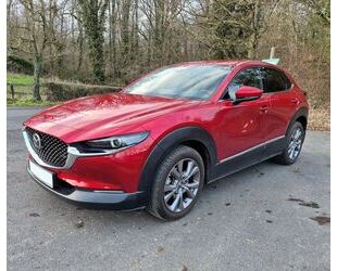 Mazda CX-30 Gebrauchtwagen