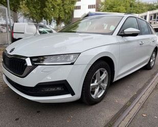 Skoda Octavia Gebrauchtwagen