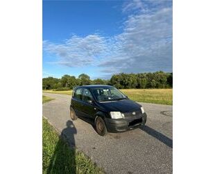 Fiat Panda Gebrauchtwagen