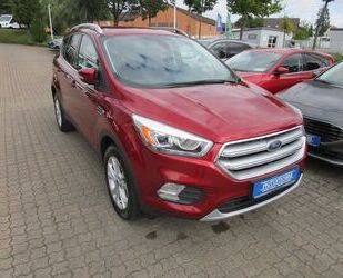 Ford Kuga Gebrauchtwagen